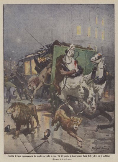 Jaula de leones destrozada tras un choque en una calle de Leipzig, y aterradora fuga de los de Achille Beltrame